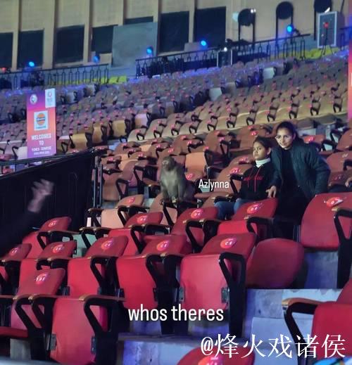 印度羽毛球公开赛观众席惊现猴子闯入